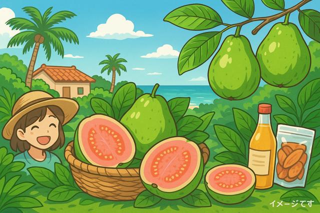 guava_miyakojima_thumbnail