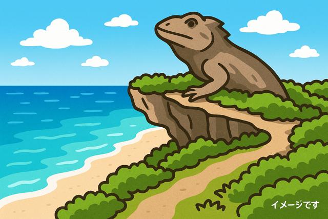 iguana_rock_miyakojima