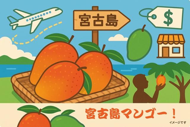miyako_mango_thumbnail