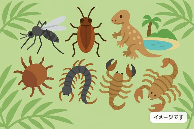 miyakojima_pests_thumbnail