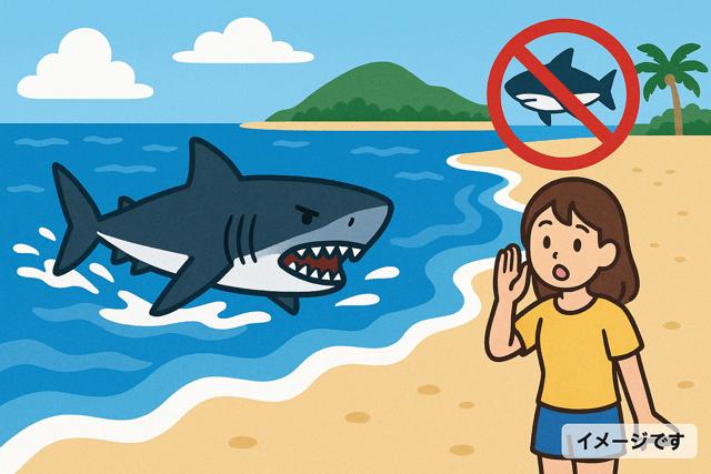 miyakojima_shark_thumbnail