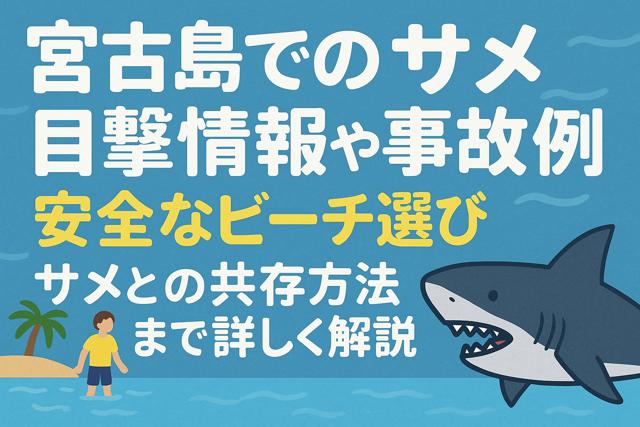 miyako_shark_safety_thumbnail